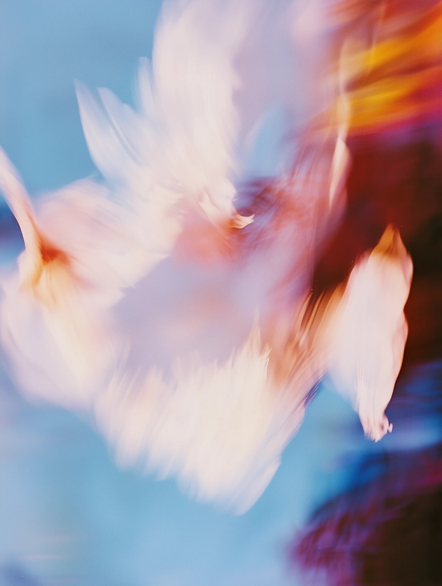 Onatera data flow diagram